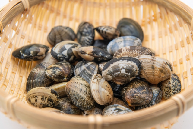 潮干狩り イメージ